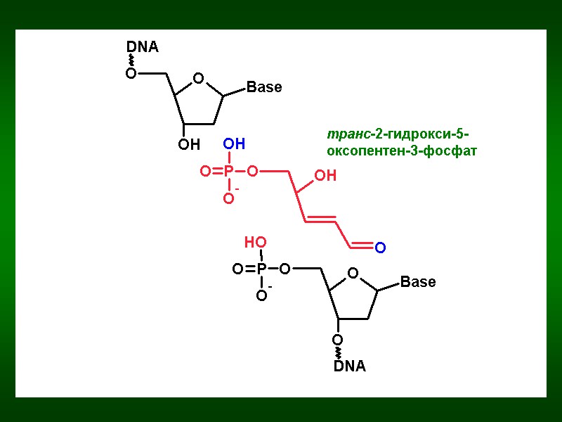 транс-2-гидрокси-5-оксопентен-3-фосфат